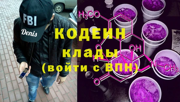 прущие грибы Бородино