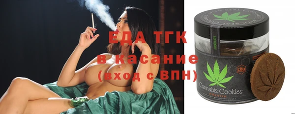 прущие грибы Бородино