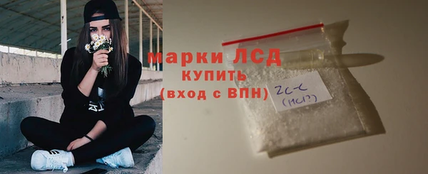 прущие грибы Бородино