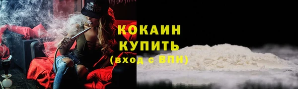 прущие грибы Бородино
