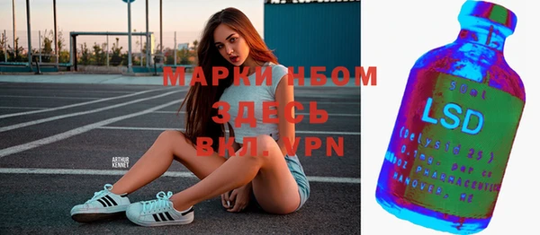 прущие грибы Бородино