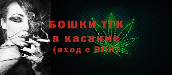 прущие грибы Бородино