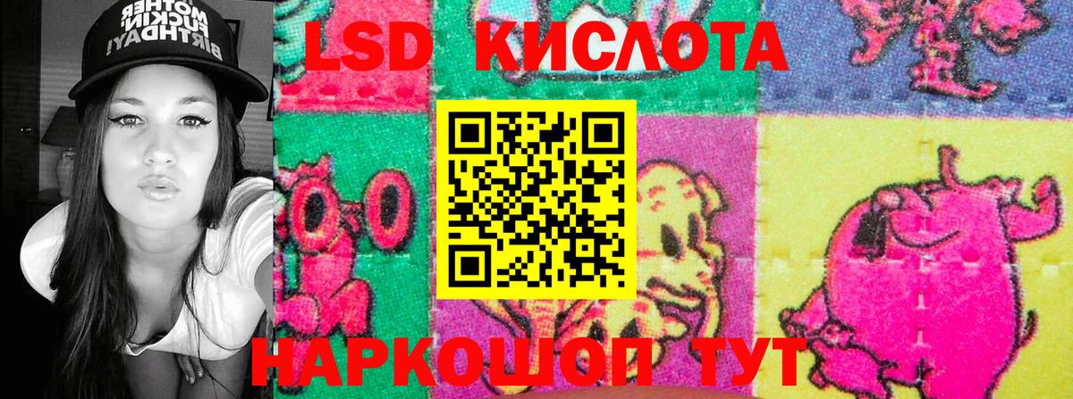 Волоколамск  Наркотические марки  Вход с VPN  Наркотические марки 1,8мг 