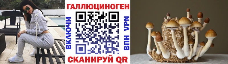Псилоцибиновые грибы MAGIC MUSHROOMS  Волоколамск 