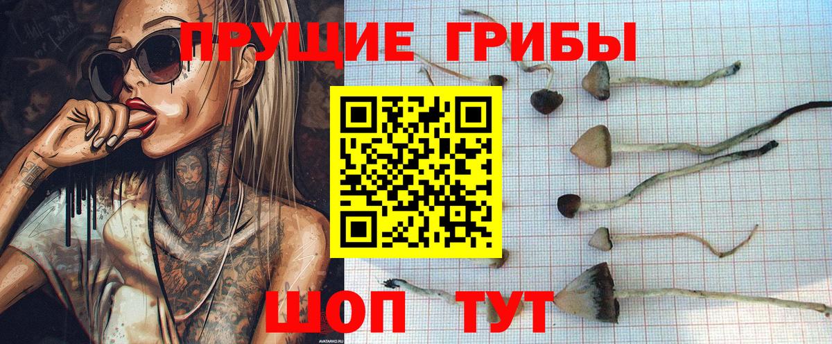 Галлюциногенные грибы Magic Shrooms  Вход с VPN  Волоколамск 